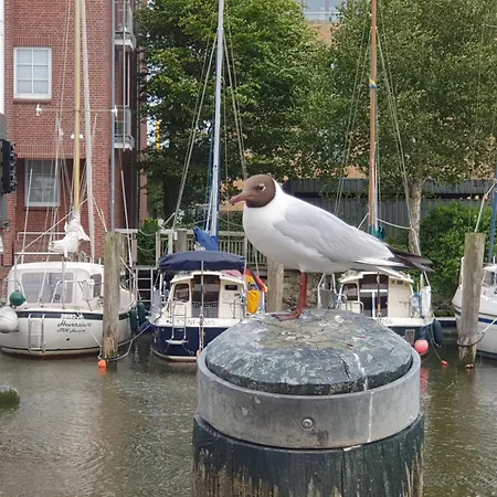 Ferienwohnung Nordfriesland Mit Hund
