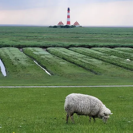Daire Ferienwohnung Nordfriesland Mit Hund *